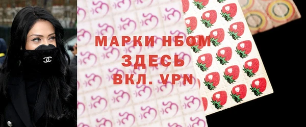 хмурый Абаза