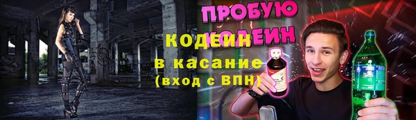 хмурый Абаза