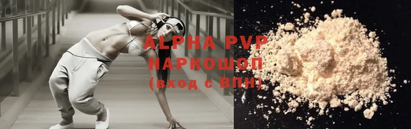 хмурый Абаза