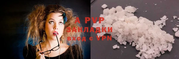 хмурый Абаза