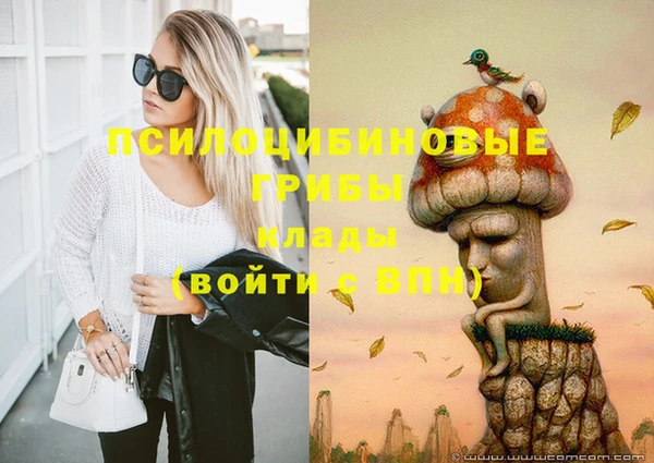 индика Новозыбков