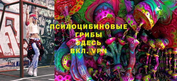 хмурый Абаза