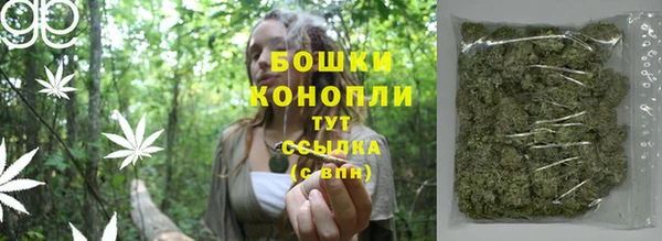 хмурый Абаза