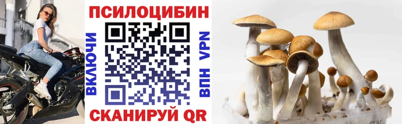 Галлюциногенные грибы Cubensis  Подольск 